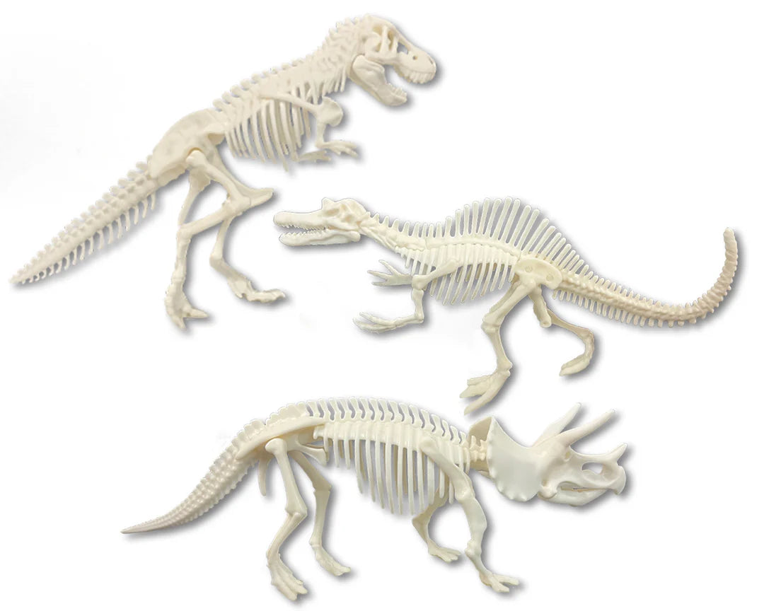 DISCOVER IT DINO DIG