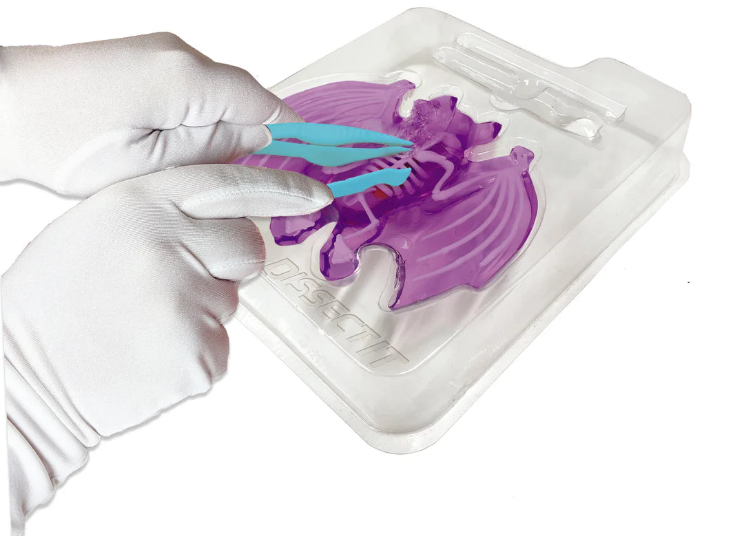 DISSECT IT MINI LABS ASST
