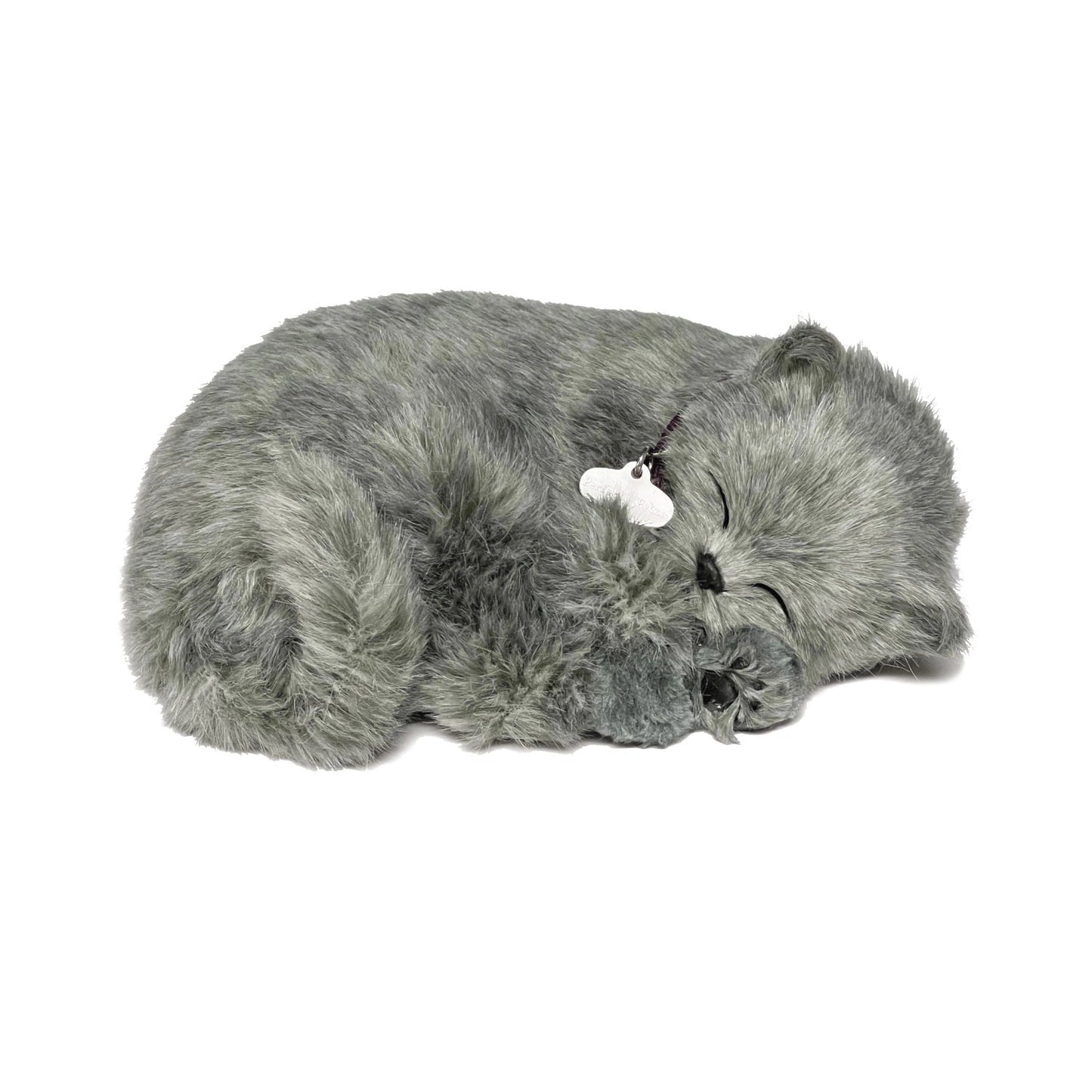 Perfect Petzzz