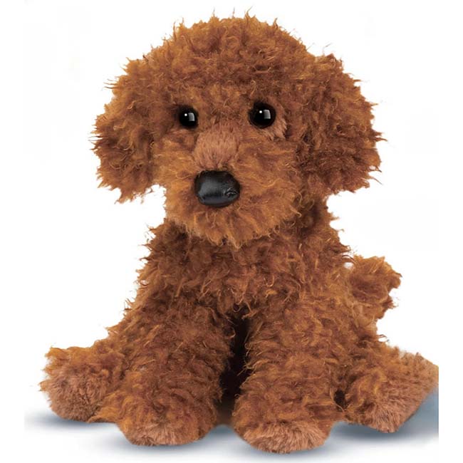 Ginger Miniature Poodle