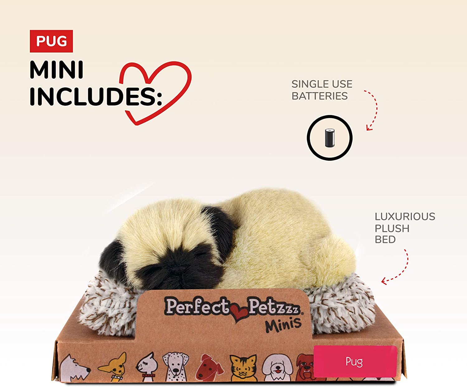 Mini Pug