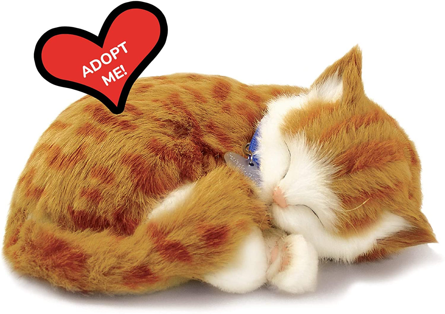 Orange Tabby Perfect Petz