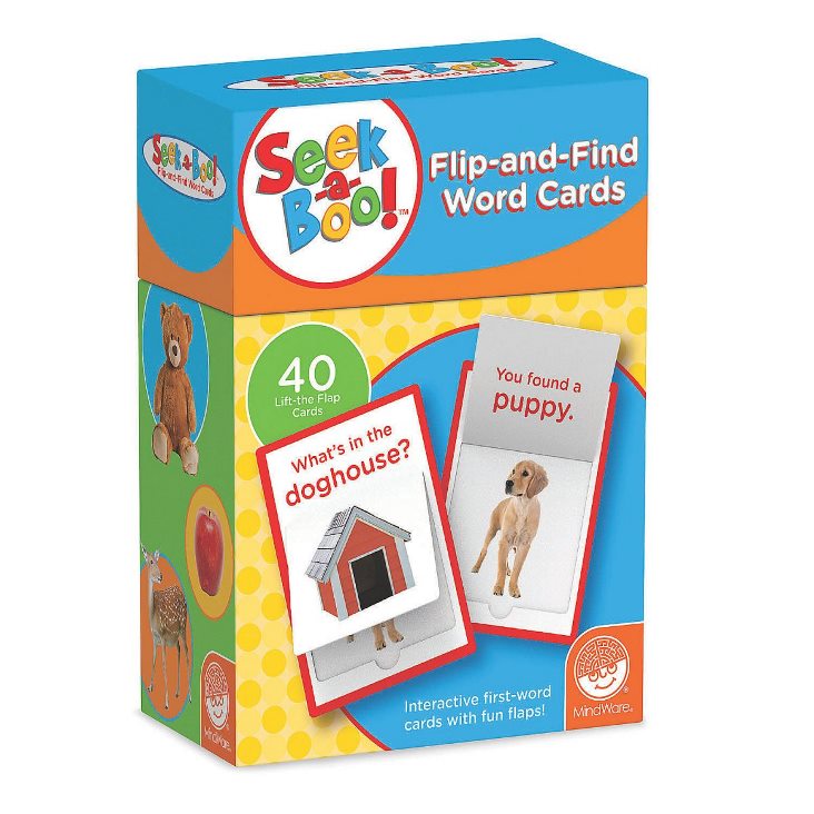 Seek A Boo Word Cards-1
