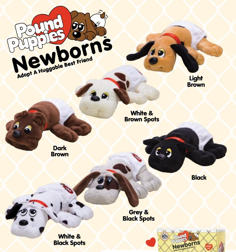 Pound Puppies Newborn-1