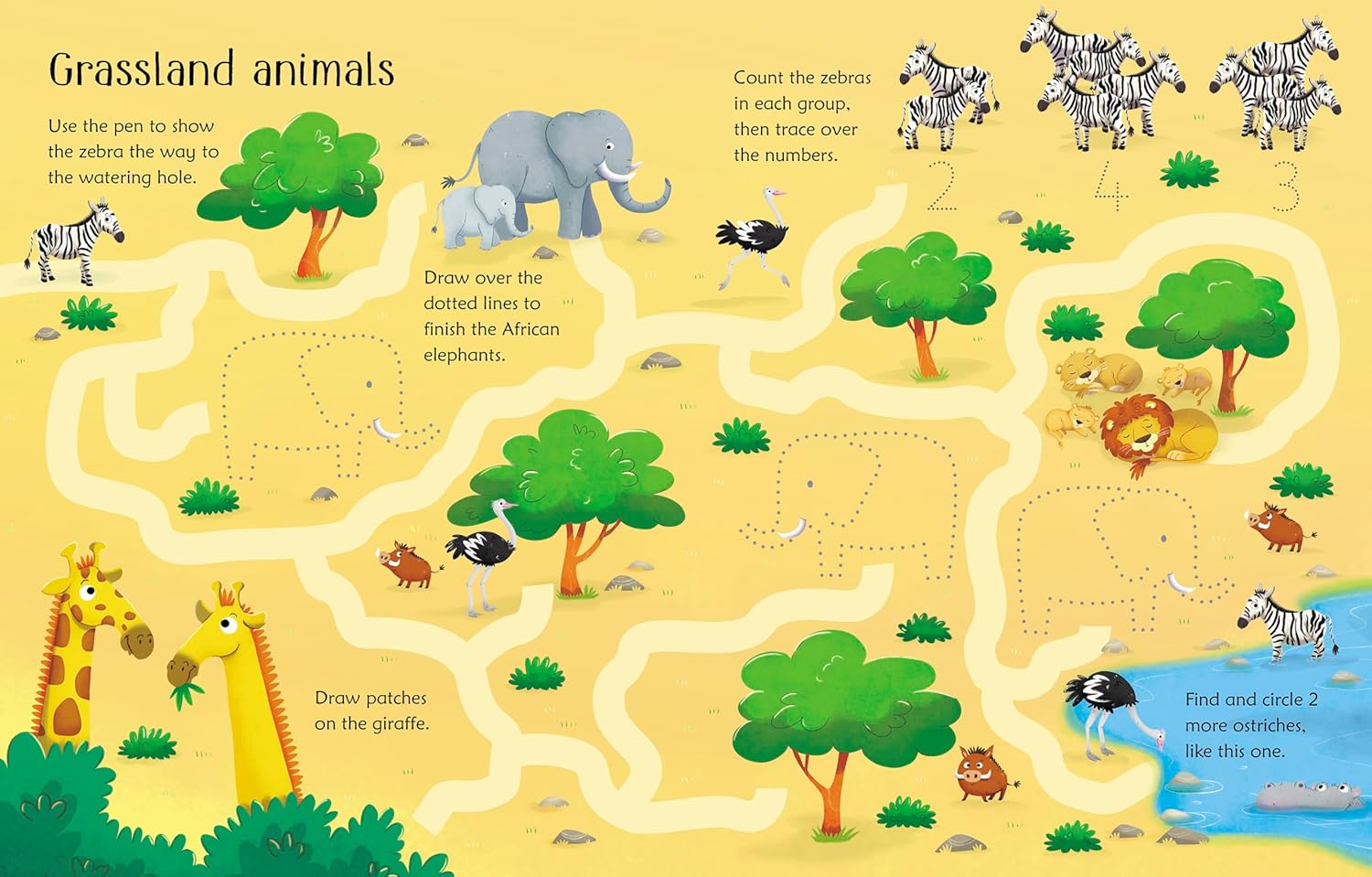 Wipe Clean Animal Activit