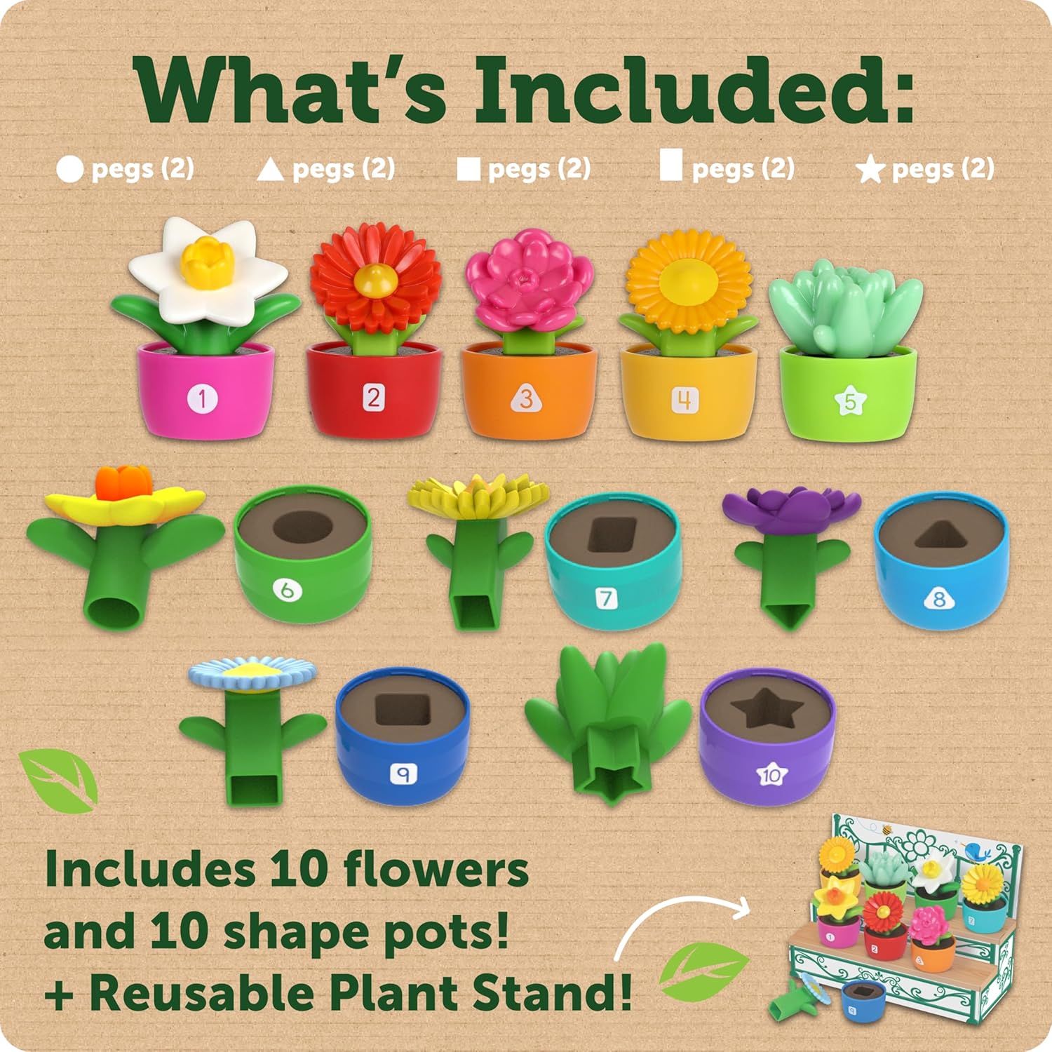 Shape Color Garden
