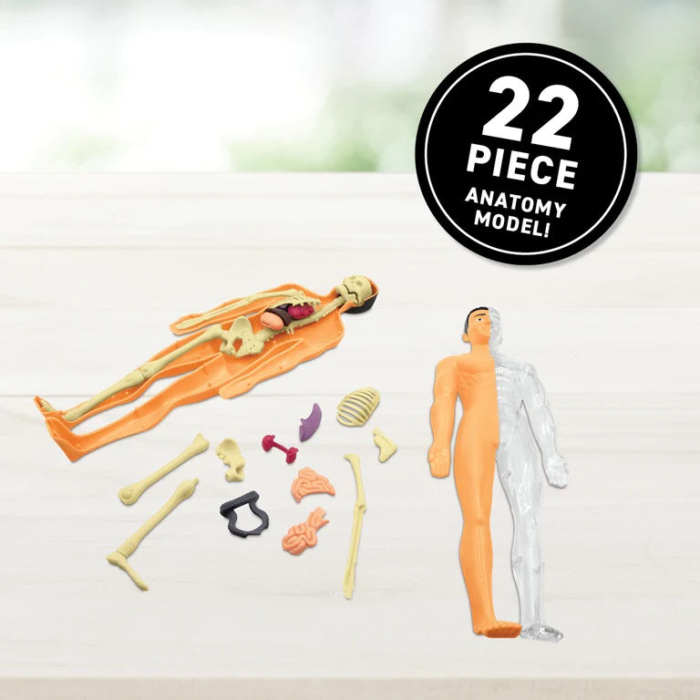 Virtual Reality Human Bdy