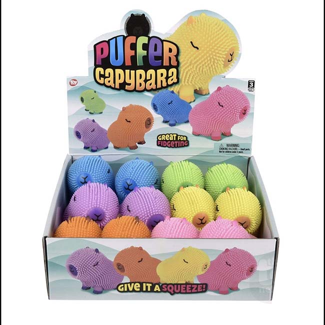 Capybara Colorful