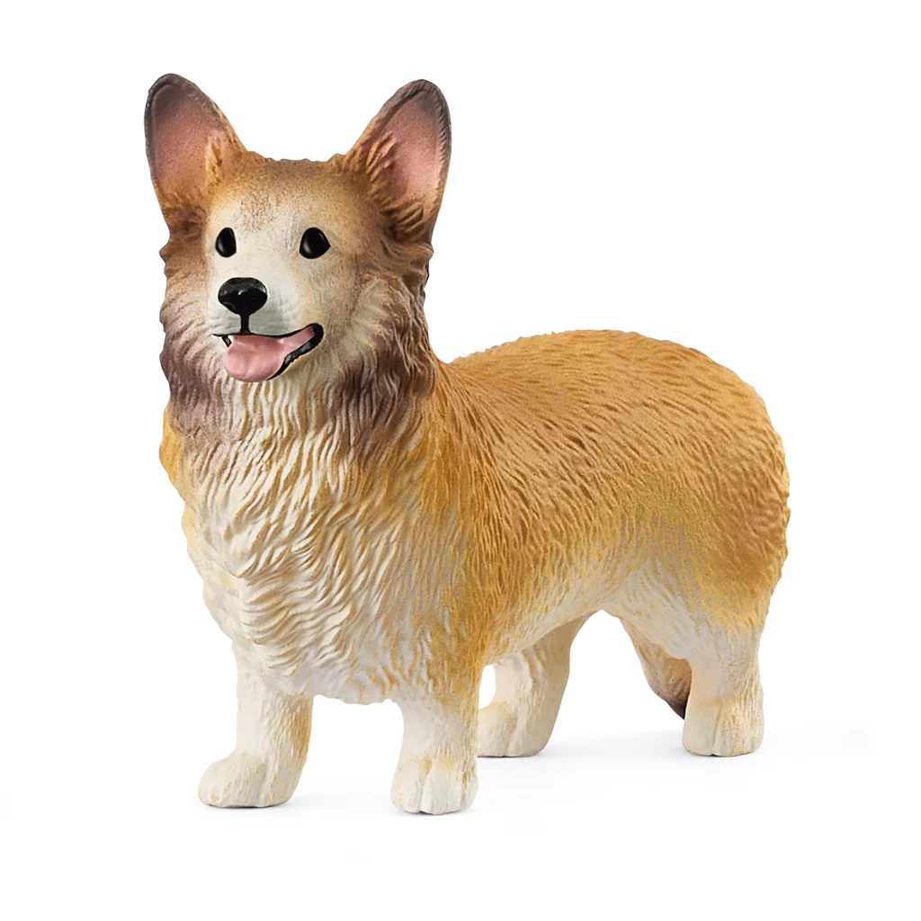 Welsh Corgie