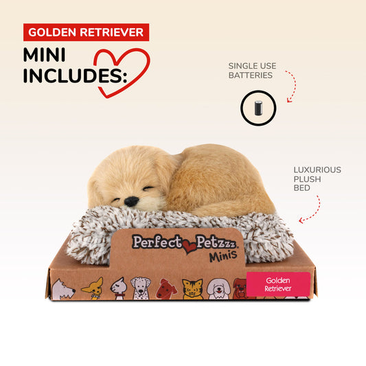Mini Perfect Petzzz
