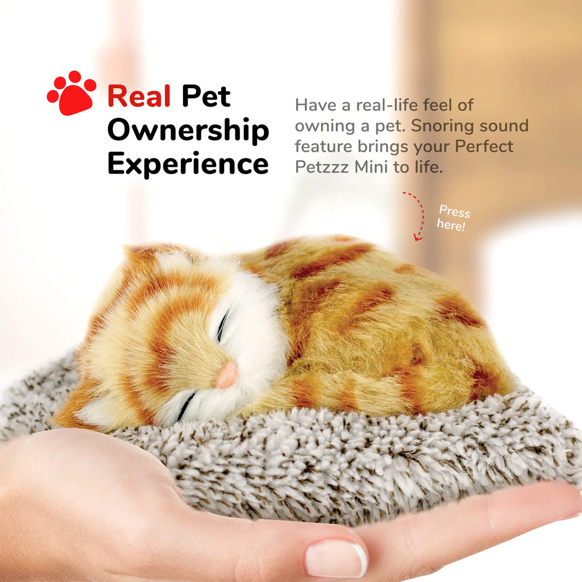 Mini Perfect Petzzz