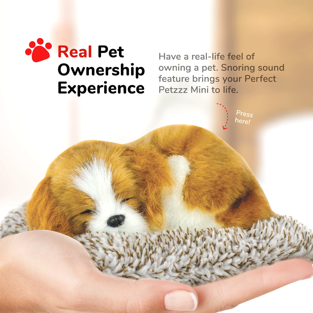 Mini Perfect Petzzz