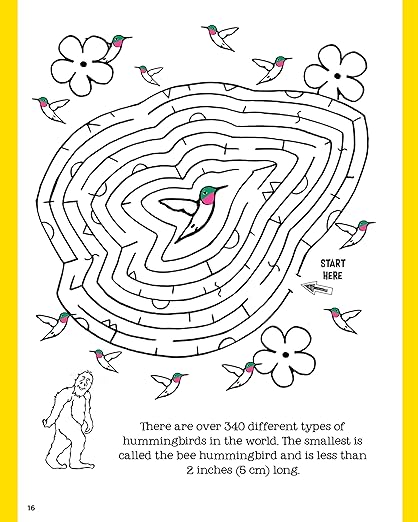 BigFoot Fun Book