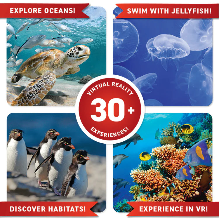 Discover Box Oceans