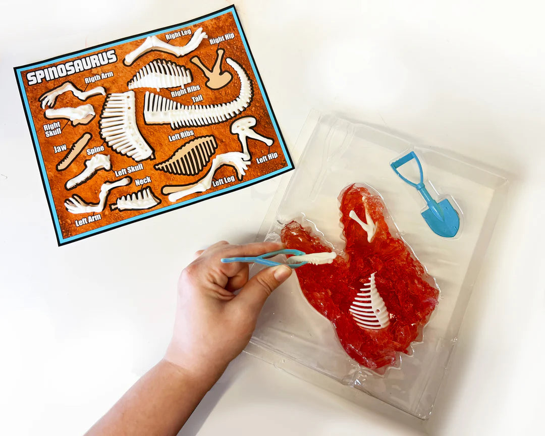 DISCOVER IT DINO DIG