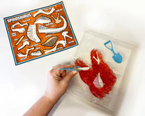 DISCOVER IT DINO DIG