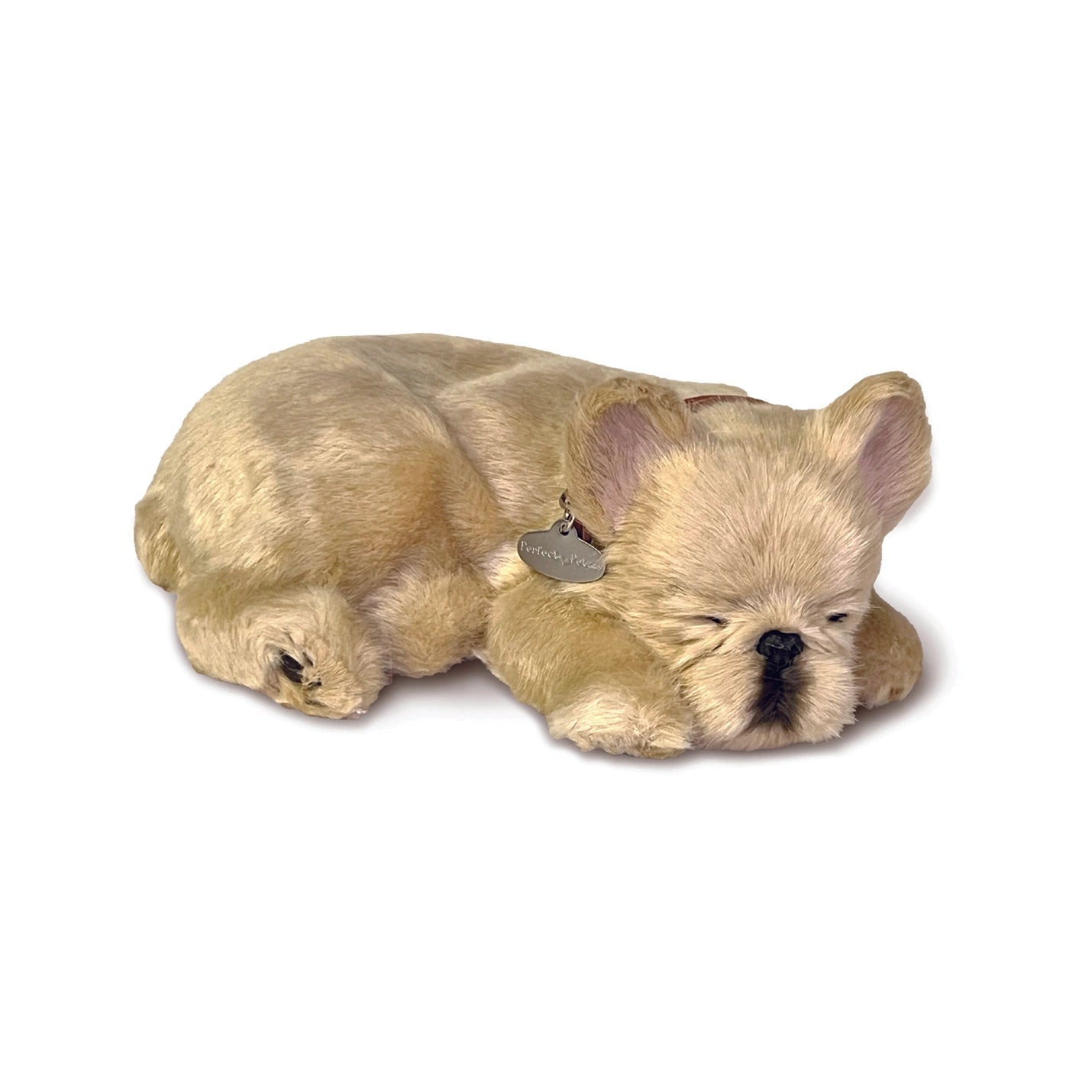 Perfect Petzzz