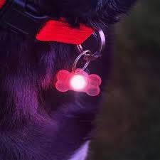 Pupbrightz Paw and Bone
