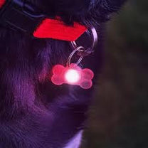 Pupbrightz Paw and Bone
