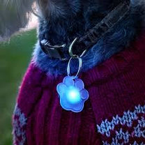 Pupbrightz Paw and Bone