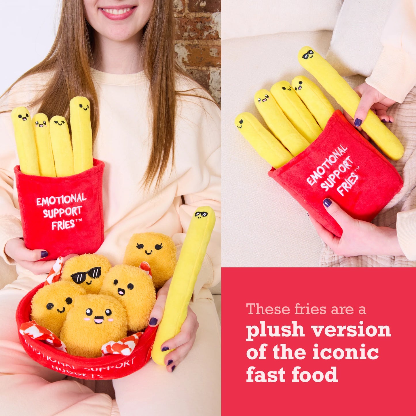 Emotional Support Fries