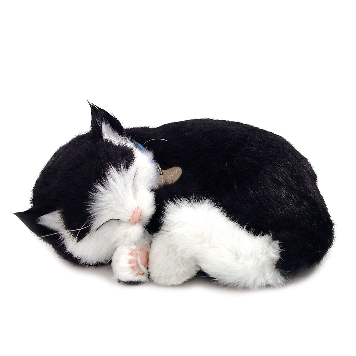 Perfect Petzzz