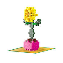 Playful Plant Packets