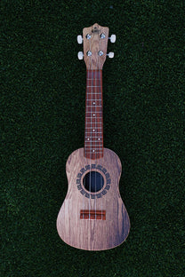 KaKo'o Ukulele