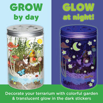 Grow N Glow Terrarium-3