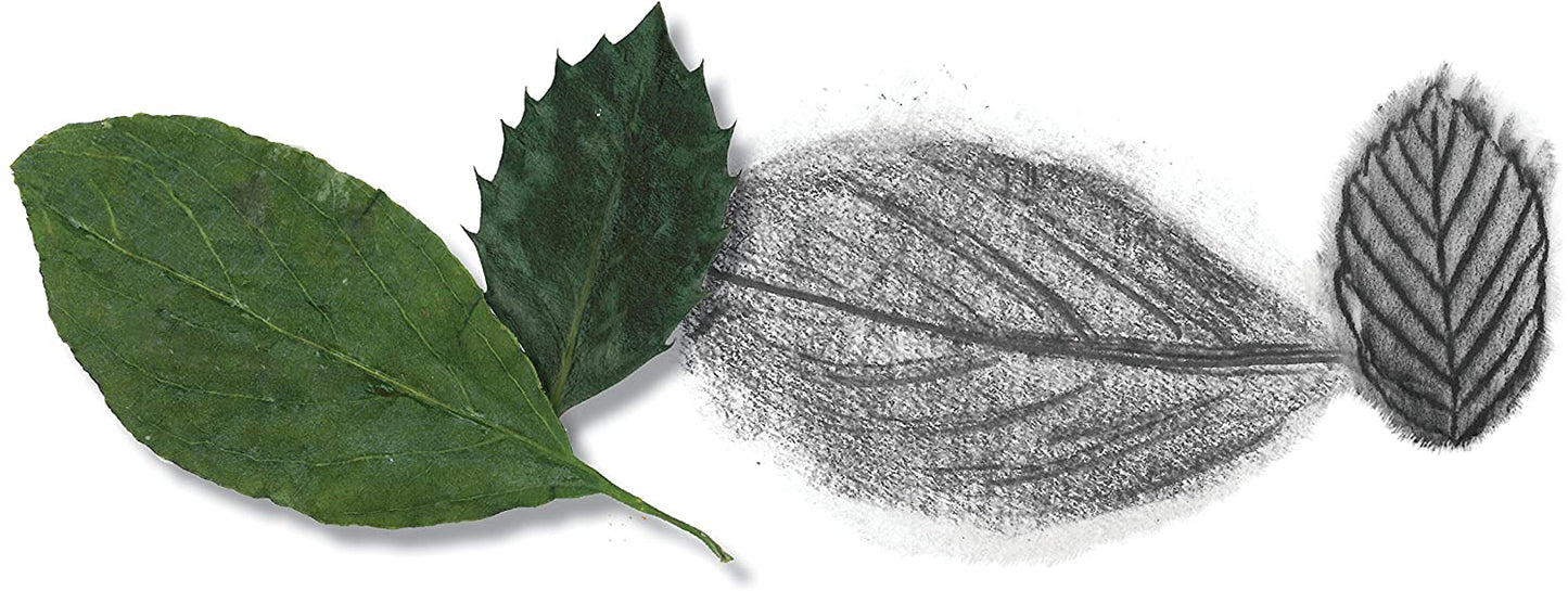 Do Art Drawing Sketching-3