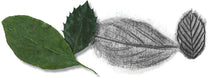 Do Art Drawing Sketching-3