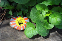 Hide & Seek Rock Painting-7