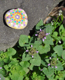 Hide & Seek Rock Painting-8