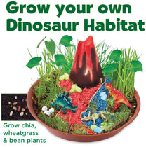 Glow Dinosaur Habitat