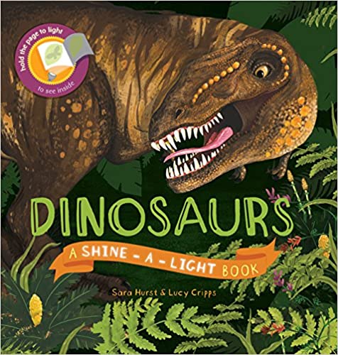 Shine a Light Dinosaurs Book-1