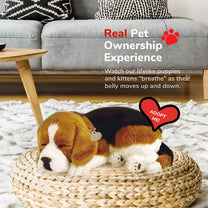 Beagle