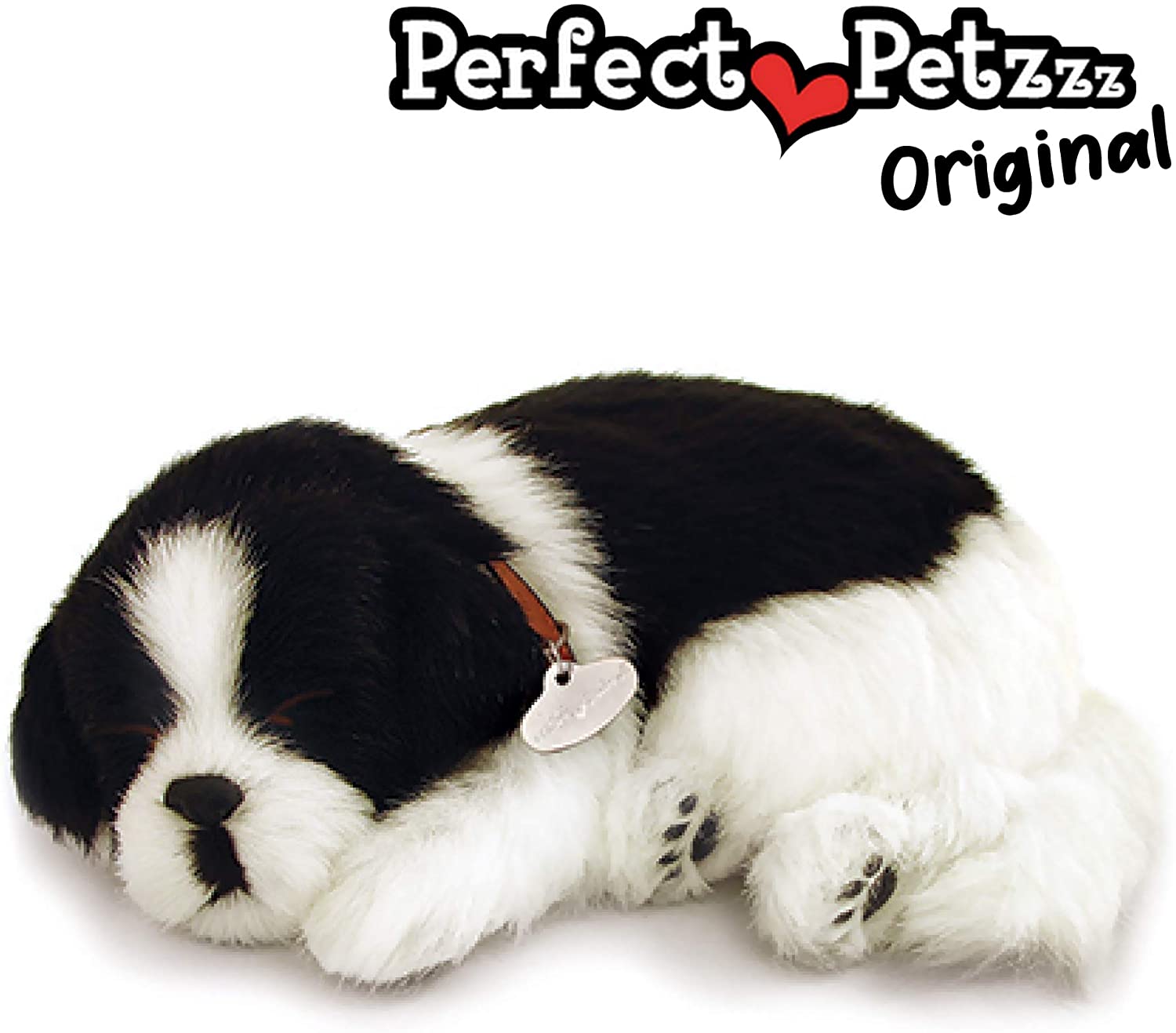 Shih Tzu-1