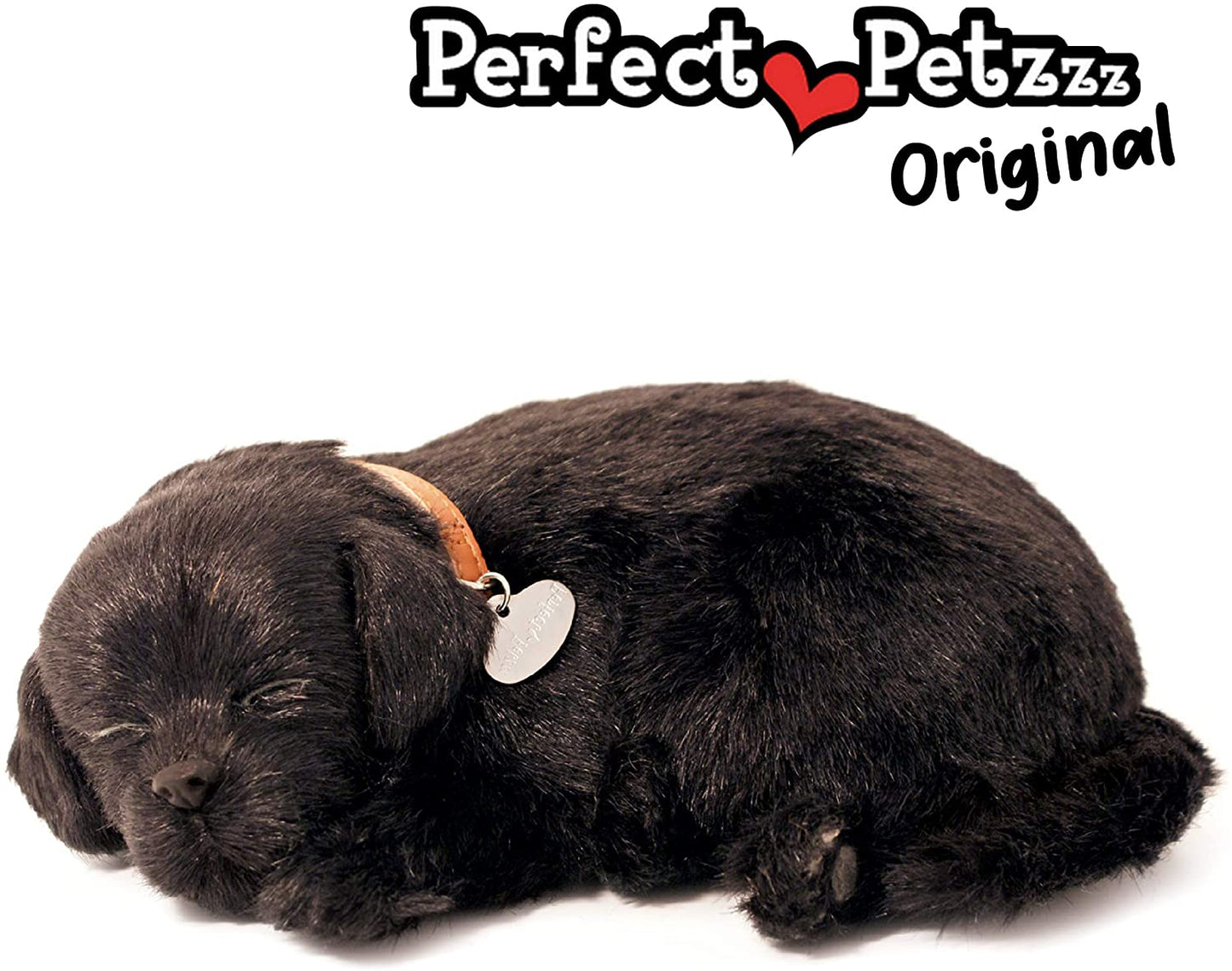 Black Lab-1
