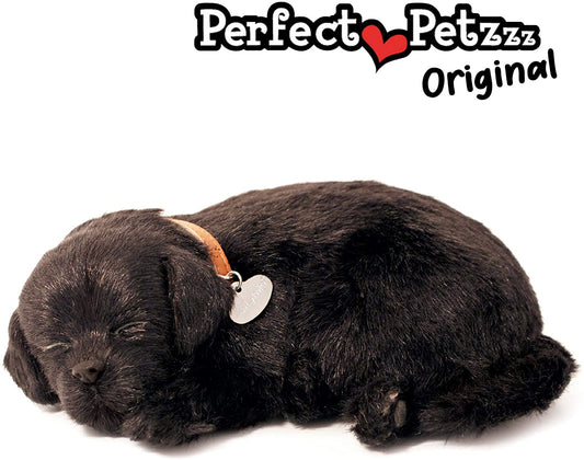 Black Lab-1