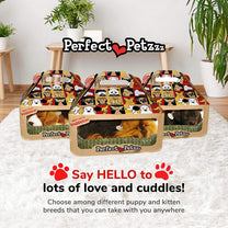 Perfect Petzzz Yorkie-2
