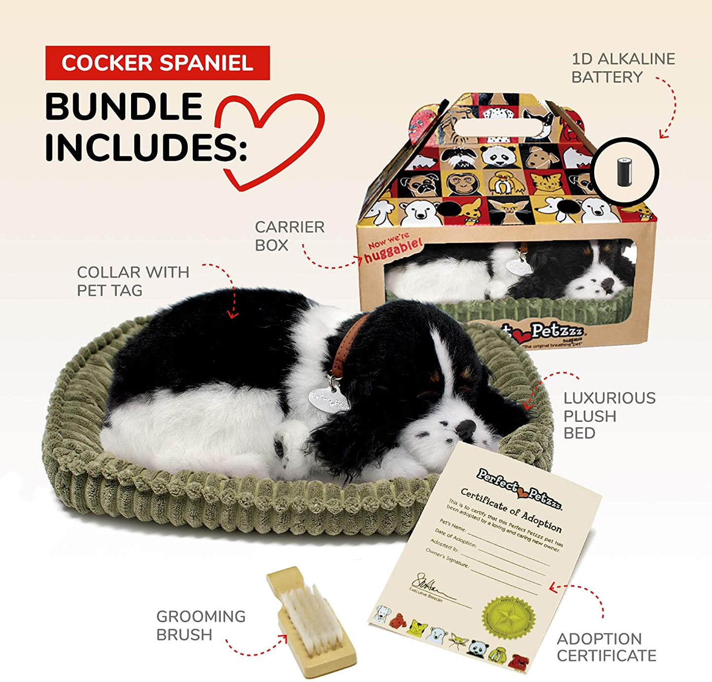Cocker Spaniel-1