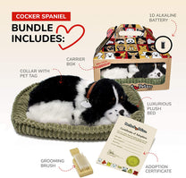 Cocker Spaniel-1