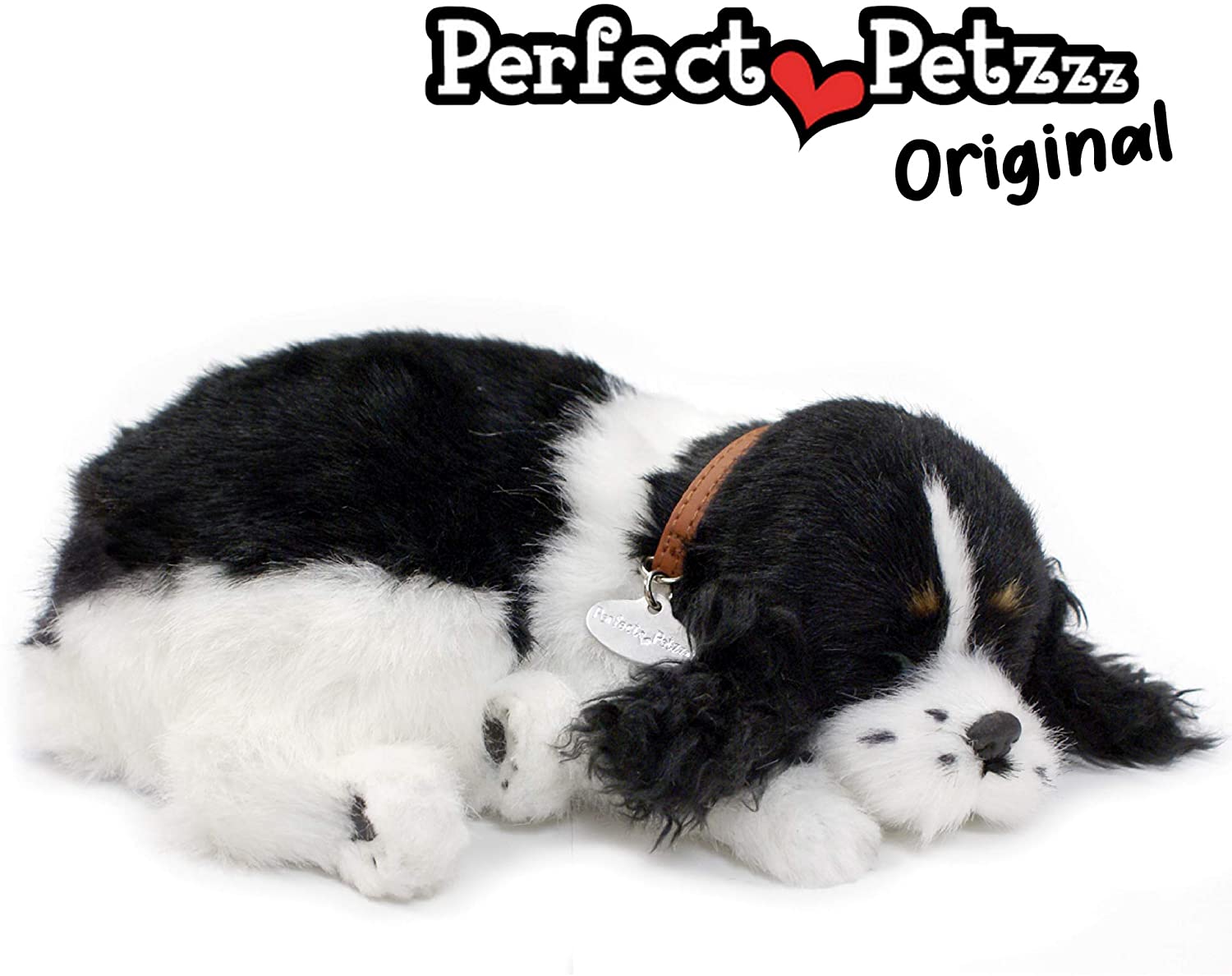 Cocker Spaniel-3