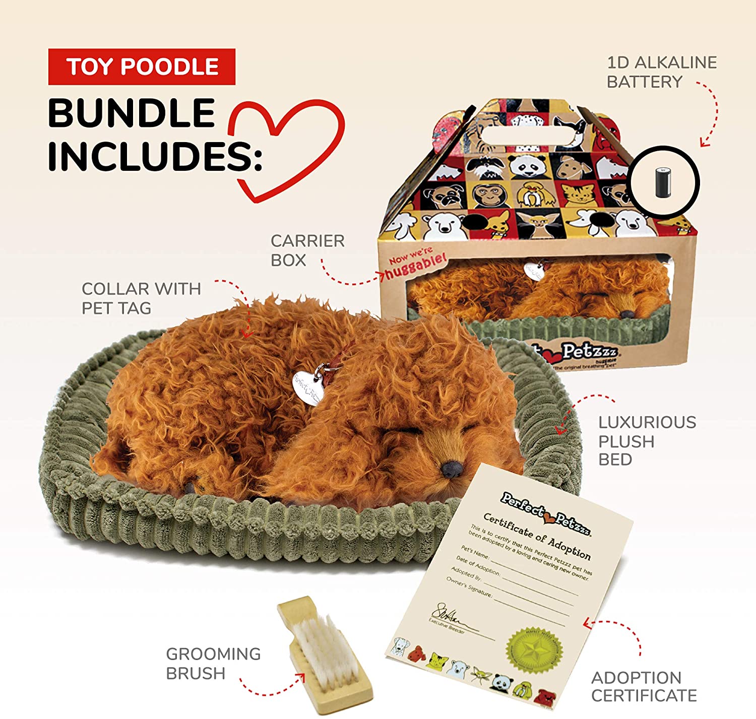 Toy Poodle-1