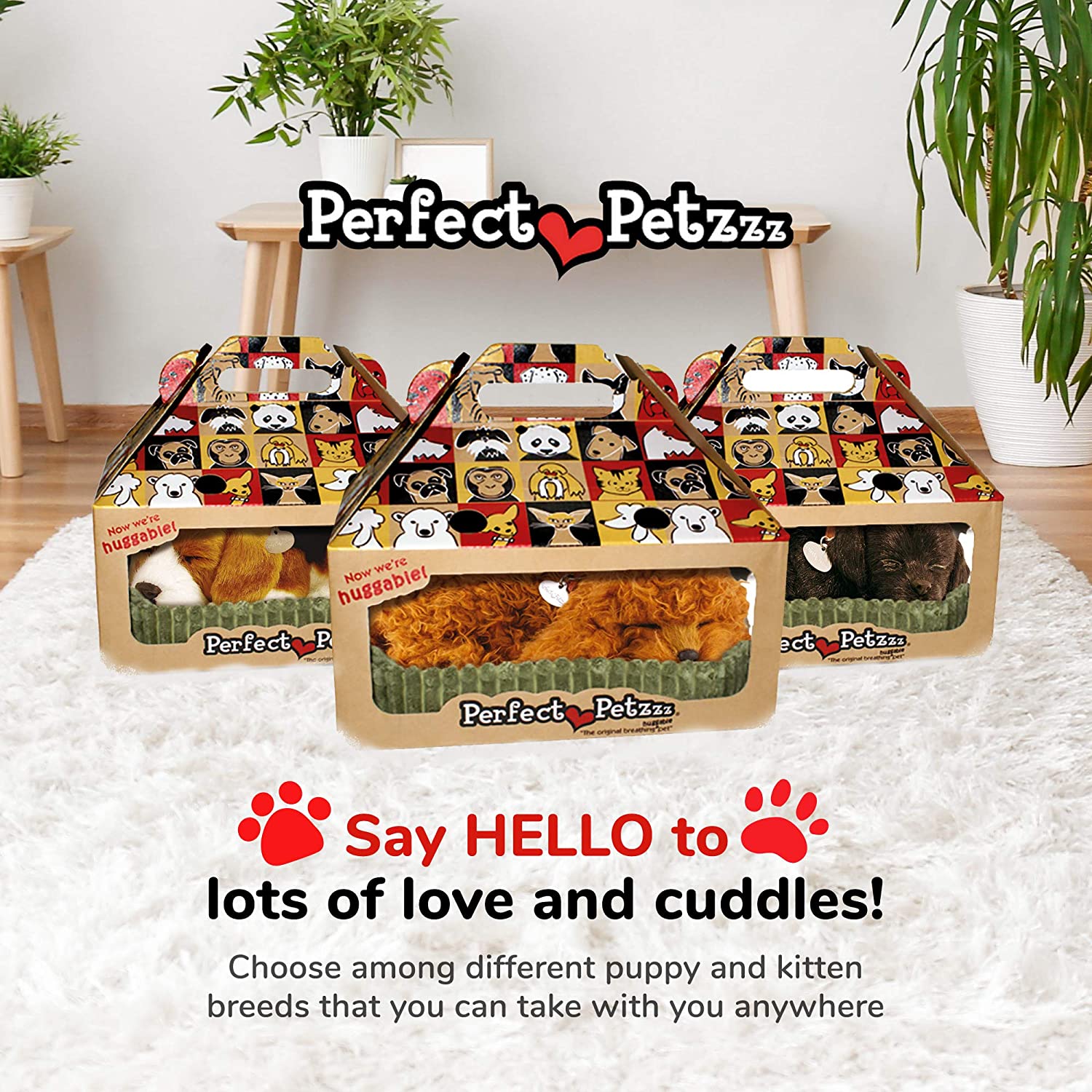 Toy Poodle-2