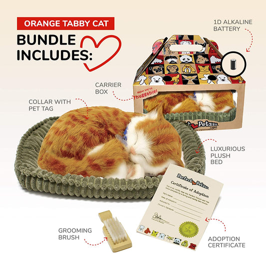 Orange Tabby Perfect Petz