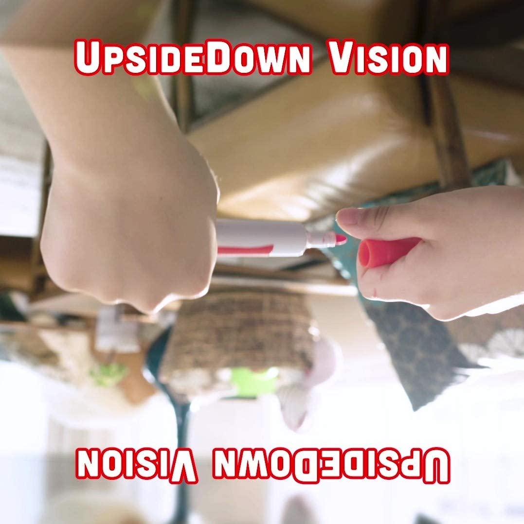 Upside Down Challenge Gam-4