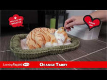 Orange Tabby Perfect Petz