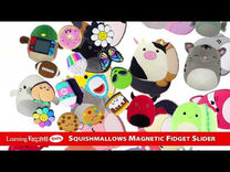 Sliders Squishmallows