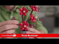 10369 Botanicals Icons 2
